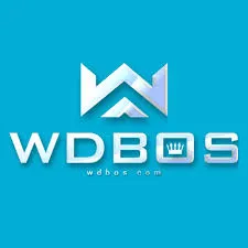 WDBOS - Permainan Puzzle Seru dan Menantang